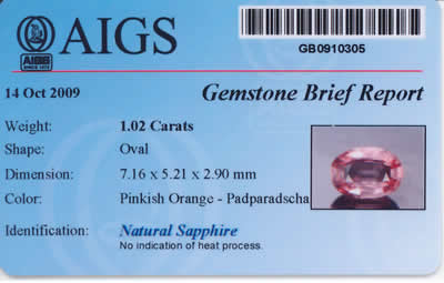 Gem Report