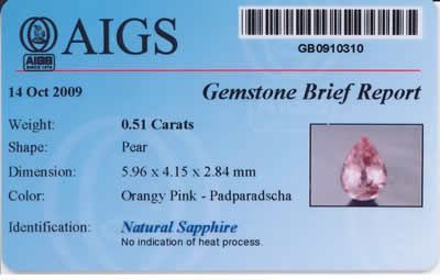 Gem Report