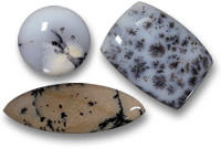 Calcédoine dendritique et pierres précieuses de cabochon d'agate dendritique