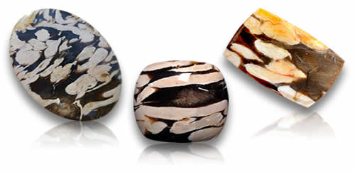 Peanut Wood Gemstones