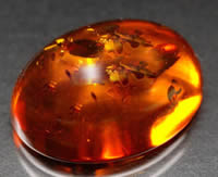 Amber Cabochon