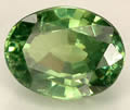 Rare Demantoid Garnet