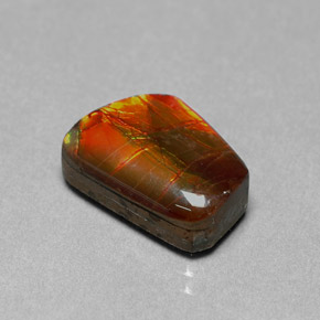 6.41 ct Natural Multicolor Ammolite