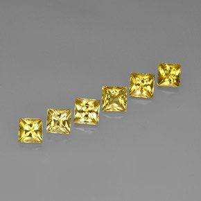 6.46 ct total Natural Yellow Golden Beryl