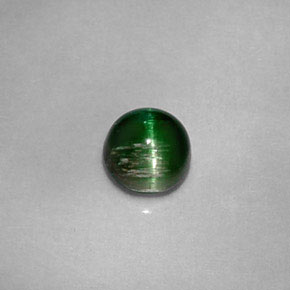 0.67 ct Natural Deep Green Cat's Eye Tourmaline