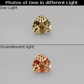 0.75 ct Natural Greenish Brown To Red Pink Color-Change Garnet