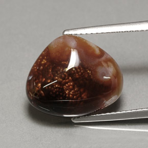 7.46 ct Natural Multicolor Fire Agate