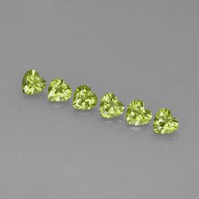 3.07 ct total Natural Lively Green Peridot