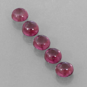 3.22 ct total Natural Raspberry Red Rhodolite Garnet