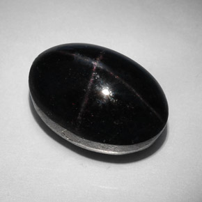 31.96 ct Natural Reddish Black Star Garnet