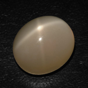 16.54 ct Natural Cream Star Moonstone