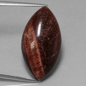 21.56 ct Natural Multicolor Tiger's Eye Matrix