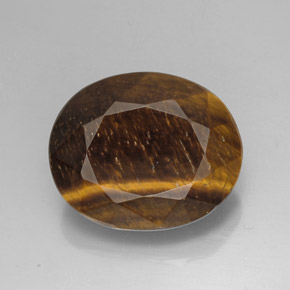 25.78 ct Natural Gold Brown Tiger's Eye