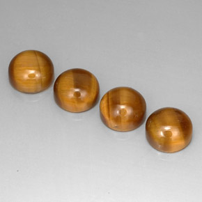 9.34 ct total Natural Gold Brown Tiger's Eye