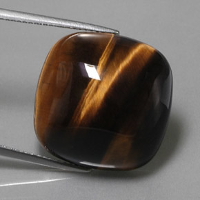 28.03 ct Natural Gold Brown Tiger's Eye