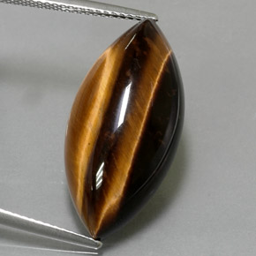 13.6 ct Natural Gold Brown Tiger's Eye