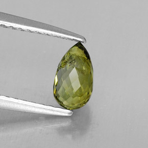 Fine Loose Gemstones