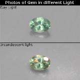 0.1 ct VS Oval Facet Alexandrite 3.5mm x 2.5