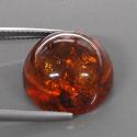 Amber from The Source
