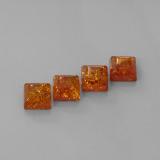 Amber from The Source