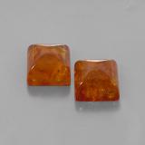 Amber from The Source