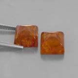 Amber from The Source