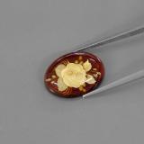 Amber from The Source