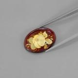 Amber from The Source