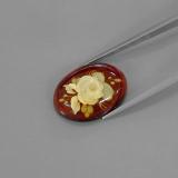 Amber from The Source