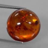 Amber from The Source