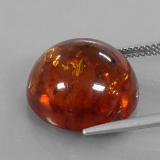 Amber from The Source