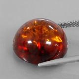 Amber from The Source