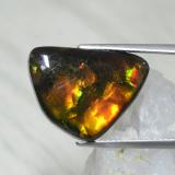 19mm x 14 Ammolite 9ct Fancy Cabochon in Multicolor