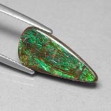 Ammolite from The Source