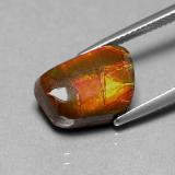 Ammolite from The Source