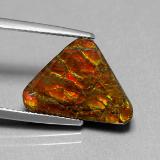 Ammolite from The Source