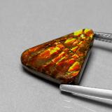 Ammolite from The Source
