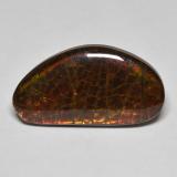 8 carat Multicolor Fancy Cabochon Ammolite 21.5mm x 11.5mm
