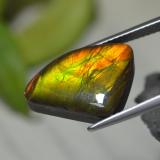 17.5mm x 12.5mm Ammolite 8ct Fancy Cabochon in Multicolor