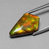 21.5mmx13mm Fancy Cabochon Ammolite 9ct