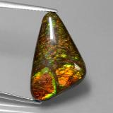10 carat Multicolor Fancy Cabochon Ammolite 22x13.5