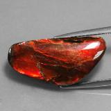 21.5x10.5mm Ammolite 9ct Fancy Cabochon in Multicolor