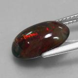 Black Opal from The Source