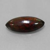 Black Opal from The Source