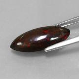 Black Opal from The Source