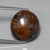 Boulder Opal from The Source