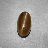 Cat's Eye Apatite from The Source