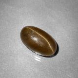 Cat's Eye Apatite from The Source