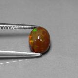 Chocolate Opal from The Source