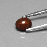Chocolate Opal from The Source